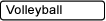 Volleyball Information & Schedule